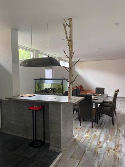 Apartmán Bronzetaler Bad Harzburg Exteriér fotografie